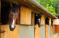 free Farlam stable construction quotes